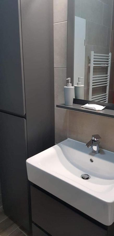 Apartmán Apartament Modern Ioan Popasu Brašov Exteriér fotografie